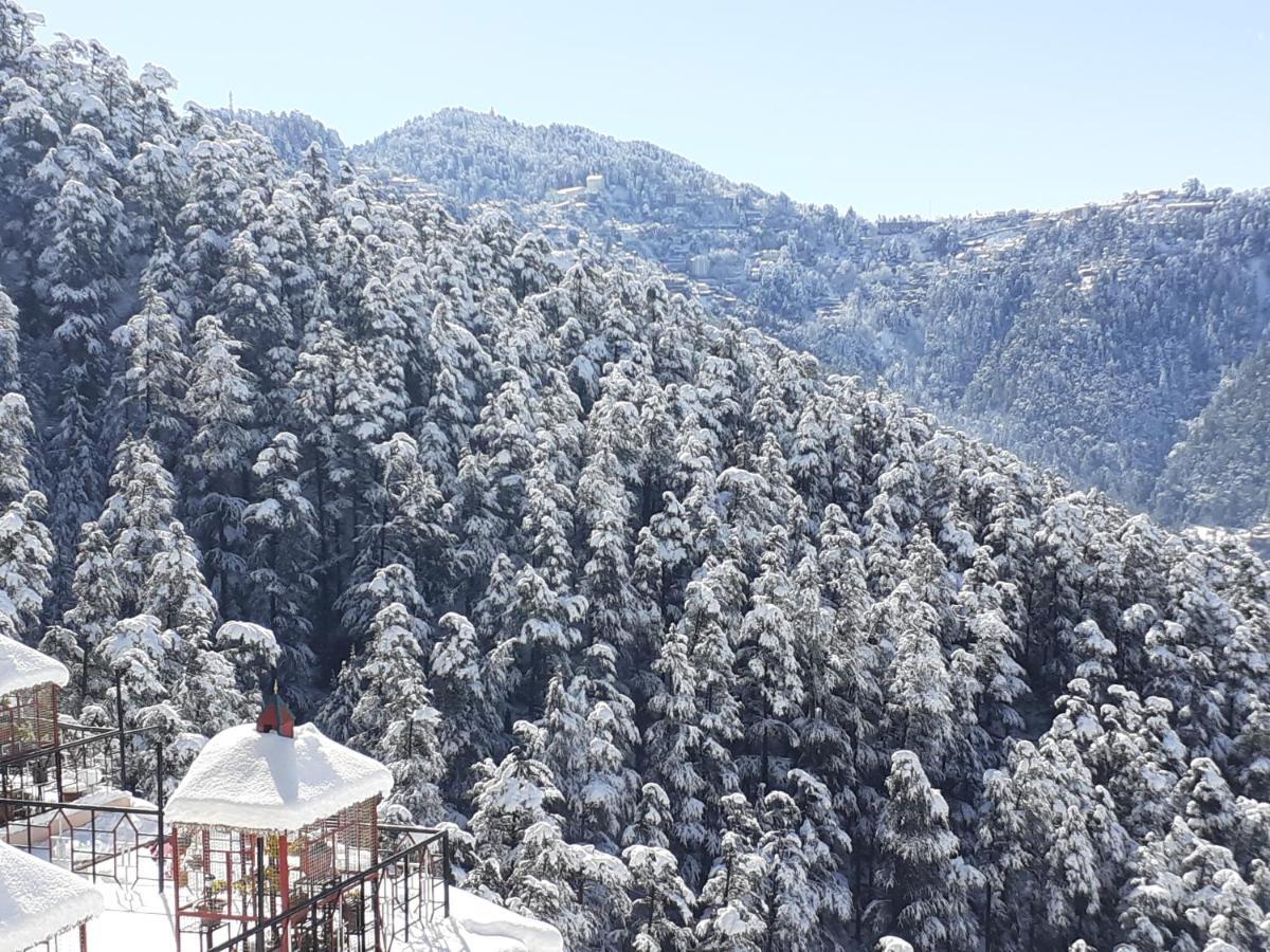 Anand Niketan Homestay Shimla Exterior photo